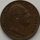 FARTHINGS 1836  WILLIAM IV SCRATCHES  GEF 