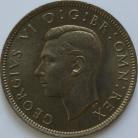 FLORINS 1951  GEORGE VI BU