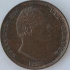 Halfpence 1831  WILLIAM IV  UNC T 