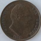 HALFPENCE 1837  WILLIAM IV NEF